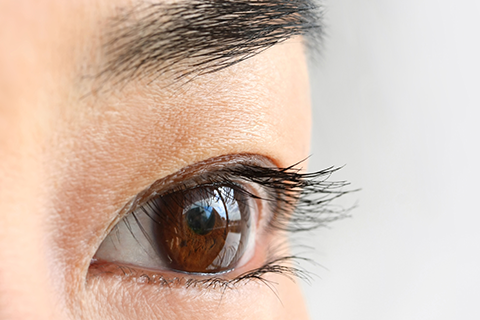 白内障日帰り手術